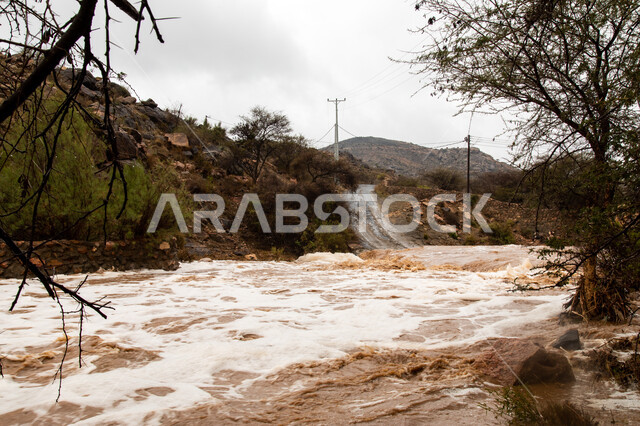 Rainwater torrents in Al-Murabba Park in Ahad Rufaidah Governorate in ...