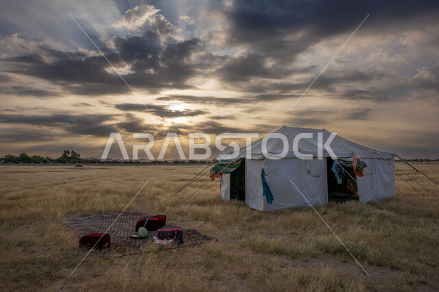 خيمة في الطبيعة، رحلة تخييم برية، الأجواء الهادئة، اماكن تخييم، مخيمات سياحية، خيام شعبية، خيمة للأستراحة، أماكن سياحية