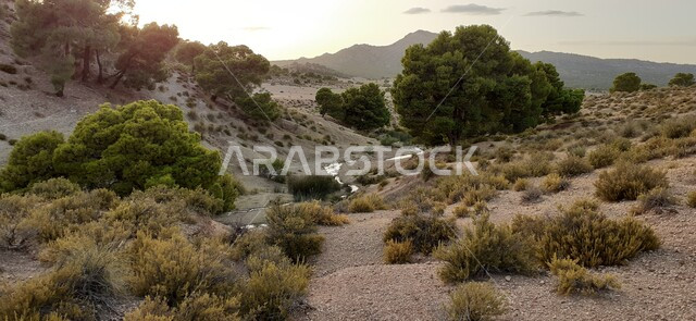 الطبيعة في الجبال تملأها الأشجار والنباتات حيث السماء الصافية .