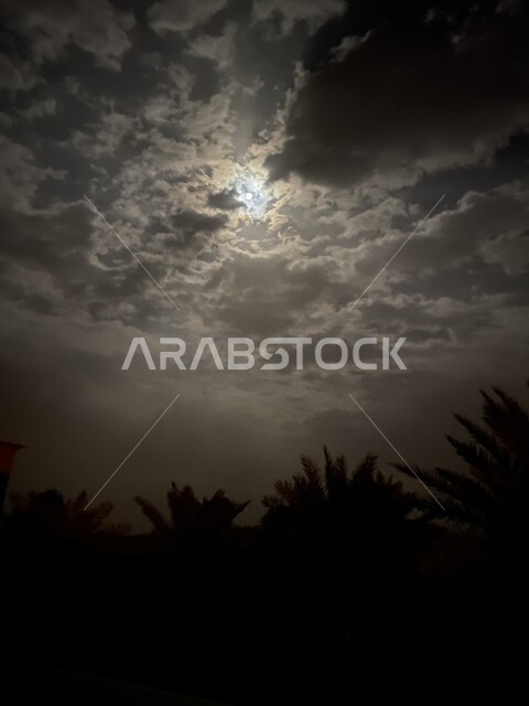 صورة ظلية لأشجار النخيل ليلا، السماء الملبدة بالغيوم، مناظر طبيعية، مزارع النخيل