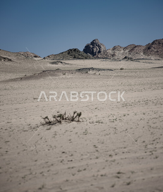 الجبال والمرتفعات في المناطق الصحراوية، التكوينات الصخرية، الجبال الصخرية، مناظر طبيعية، التضاريس الصحراوية، الطبيعة الصحراوية