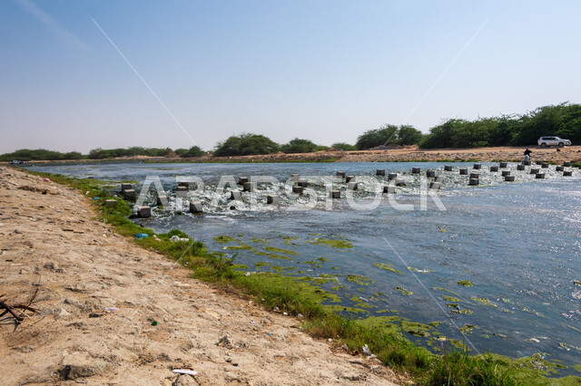 مكعبات من الحجارة وسط نهر جدة في الوادي الاخضر بالمملكة العربية السعودية، الاشجار والنباتات الخضراء، الوادي الاخضر، نهر جدة، مجرى المياه، مناظر طبيعية، خلفية الطبيعة