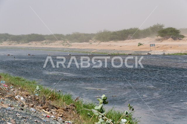الغبار والرياح في الوادي الاخضر بجدة في المملكة العربية السعودية، الاشجار والنباتات الخضراء، الوادي الاخضر، نهر جدة، مجرى المياه، مناظر طبيعية، خلفية الطبيعة