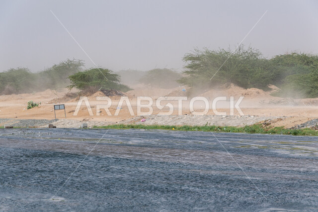 الغبار والرياح في الوادي الاخضر بجدة في المملكة العربية السعودية، الاشجار والنباتات الخضراء، الوادي الاخضر، نهر جدة، مجرى المياه، مناظر طبيعية، خلفية الطبيعة