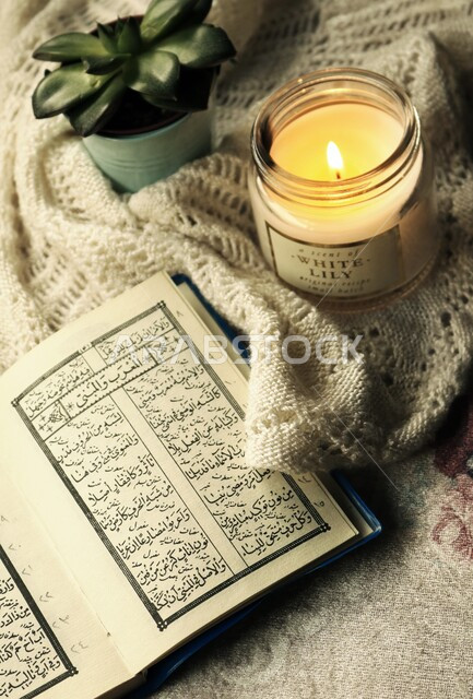 صورة مقربة لكتاب مفتوح , شمعة مضيئة , ديكورات وزينة, جلسة هادئة , نبتة صغيرة , هواية القراءة , مفهوم الثقافة والتعليم .