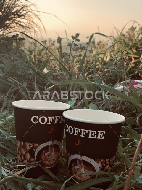 اكواب القهوة الساخنة فوق النباتات، النباتات الخضراء، قهوة اسبريسو، مشروبات ساخنة، مناظر طبيعية، خلفية الطبيعة