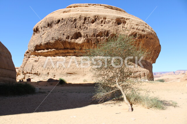 التشكيلات والتكوينات الصخرية الطبيعية في محافظة العلا في السعودية، المناطق الصحراوية في العلا، الطبيعة الصحراوية، معالم اثرية، النباتات الصحراوية، اماكن تاريخية قديمة، الجبال والمرتفعات، السياحية في السعودية