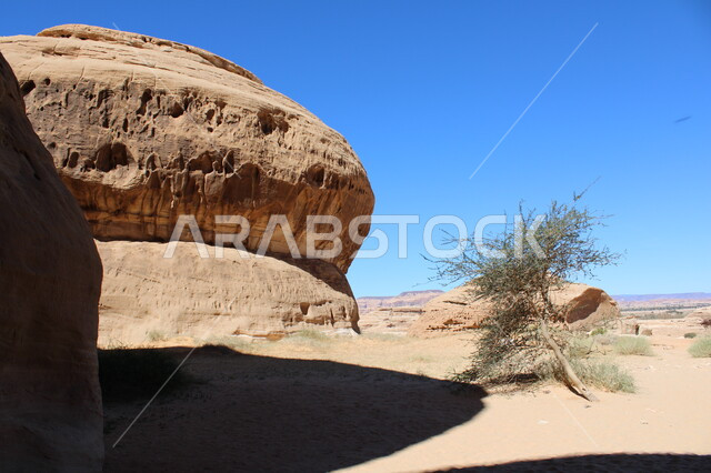 Desert nature in Al-Ula Governorate in the Kingdom of Saudi Arabia, desert plants, ancient historical monuments, mountain heights, natural rock formations in desert areas, tourist places