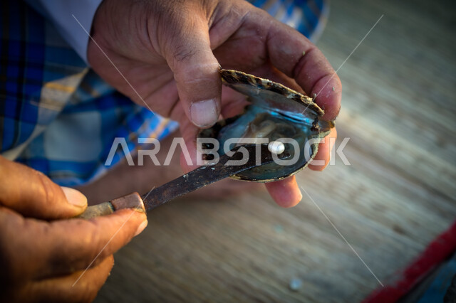 صورة مقربة ليد رجل يقوم بإخراج اللؤلؤ من الصدف ، لؤلؤ طبيعي ، مهن وحرف يدوية