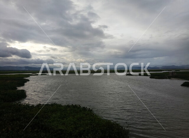 منظر لبحيرة مائية عند الغروب , بحيرات و أنهار , مناظر طبيعية ,  نباتات مائية , خلفيات طبيعية .