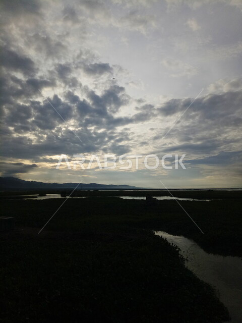 منظر لبحيرة مائية عند الغروب , بحيرات و أنهار , مناظر طبيعية ,  نباتات مائية , خلفيات طبيعية .