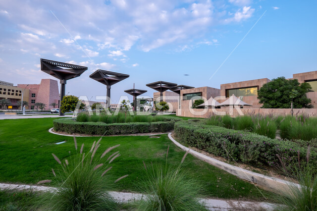 الاشجار والنباتات الخضراء في المدينة التعليمية بالدوحة في دولة قطر، الطبيعة الخضراء، مباني المدينة التعليمية، مناظر طبيعية، معالم قطر، خلفية الطبيعة