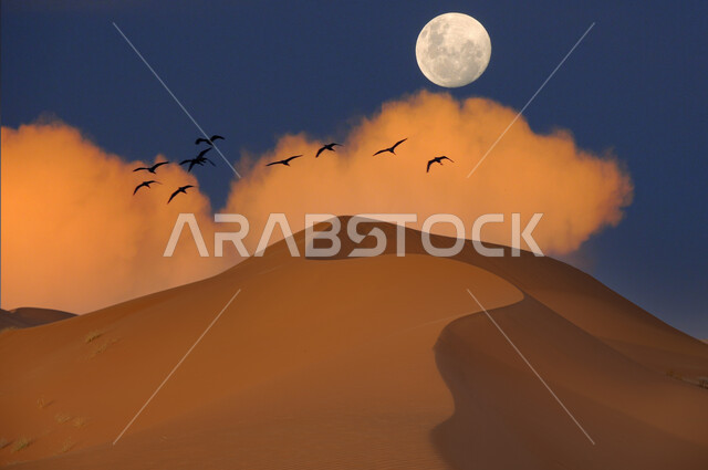 جبل رملي في المناطق الصحراوية، الكثبان الرملية، الرمال الناعمة، تلال رملية، الطيور المحلقة في السماء، الطبيعة الصحراوية