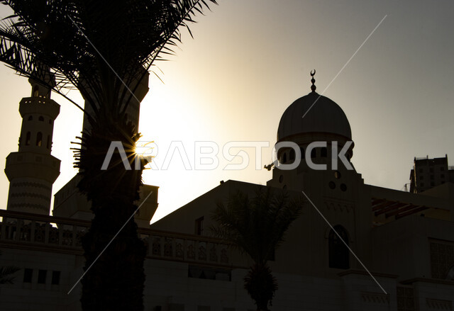 مسجد في المملكة العربية السعودية ، إسلاميات وعبادة ، الفن المعماري الإسلامي