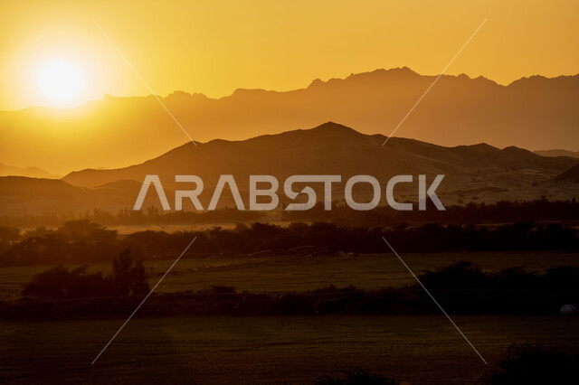 الاشجار والنباتات الخضراء وقت غروب الشمس، الجبال والمرتفعات، الطبيعة الخضراء، مناظر طبيعية، خلفية الطبيعة