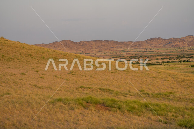 الطبيعة الجبلية، نباتات عشبية، الجبال والمرتفعات، تلال جبلية، مناظر طبيعية، خلفية الطبيعة