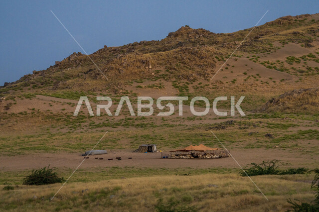 الطبيعة الجبلية، نباتات عشبية، الجبال والمرتفعات، تلال جبلية، مناظر طبيعية، خلفية الطبيعة