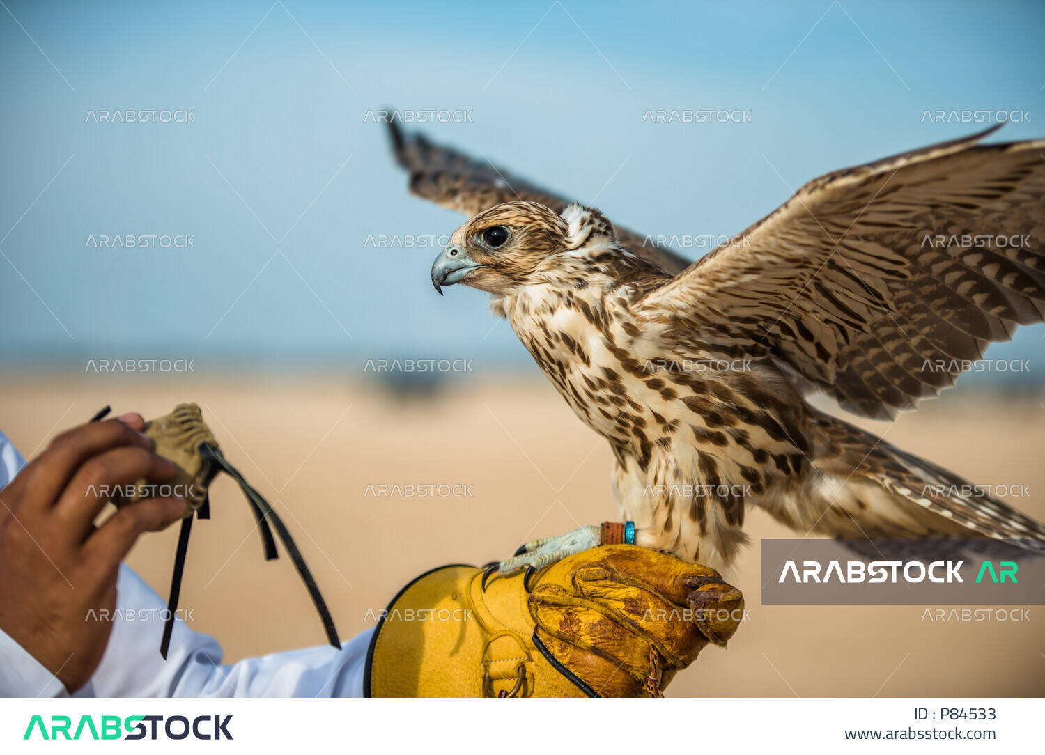 المزاد