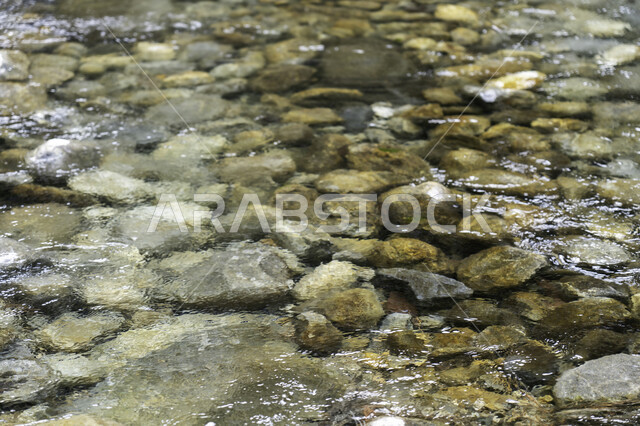 Close-up of underwater small rocks, landscape, water flowing on rocks, water current, natural background