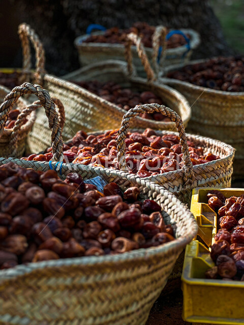 Baskets full of delicious healthy dates, Saudi Arabia dates, Eid dates in the Arabian Gulf.