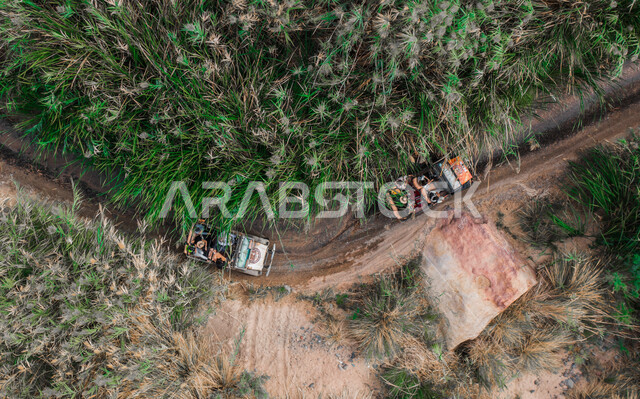  صورة من الاعلى لحركة سير السيارات بين أخاديد الجبال الساحرة بوادي الديسة في مدينة تبوك بالمملكة العربية السعودية، التكوينات  الصخرية، الواحات بوادي الديسة، الطبيعة الصحراوية في السعودية .