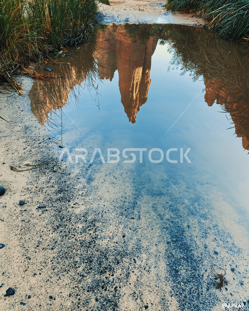 Enchanting mountain canyons, Wadi Al-Disah in the Tabuk region, Valley of the Palms, a river reflecting rock formations, nature in the Kingdom of Saudi Arabia, natural backgrounds