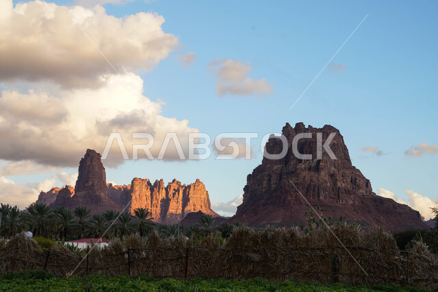 منظر أخاديد الجبال وأشجار النخيل في وادي الديسة, الطبيعة الجبلية في السعودية, التكوينات الصخرية في وادي الديسة, السياحة في السعودية