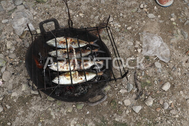 مجموعة من الاسماك في الشواية، سمك مشوي، وجبة بحرية، شواء السمك، لحوم بيضاء