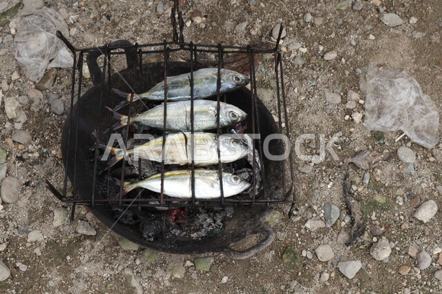 مجموعة من الاسماك في الشواية، شواء السمك، وجبة بحرية، لحوم بيضاء، سمك مشوي