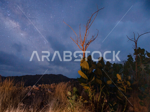 Landscape of the sky in night mode, Milky Way galaxy in the sky of Taif in Saudi Arabia, natural background