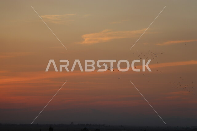 Silhouette of the sky at sunset, the sky full of clouds, migratory birds, nature background