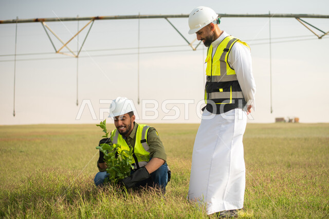 تنميه المزارع والحقول الخضراء , مهندسان زراعيان عربيان خليجيان سعوديان يقومان بفحص المحاصيل والنباتات الزراعية  ،  استخدام التقنية والتكنولوجيا لتطوير مستقبل القطاع الزراعي , تحسين انتاج المحاصيل الزراعية في السعودية  . 
