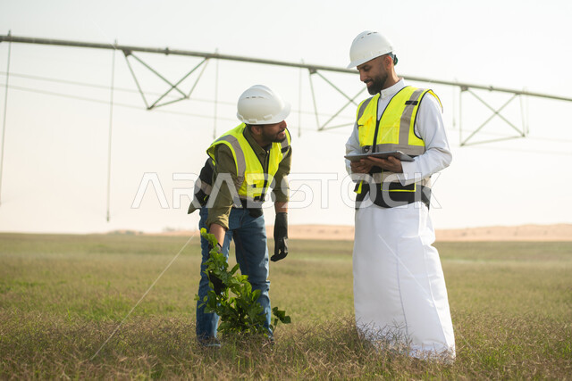 مهندسان زراعيان عربيان خليجيان سعوديان يقومان بفحص المحاصيل والنباتات الزراعية  ،  استخدام التقنية والتكنولوجيا لتطوير مستقبل القطاع الزراعي , تحسين انتاج المحاصيل الزراعية في السعودية , تنميه المزارع والحقول الخضراء . 