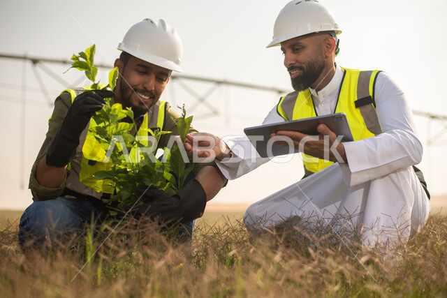 صورة مقربة لمهندسان زراعيان عربيان خليجيان سعوديان يقومان بفحص المحاصيل والنباتات الزراعية  ،  استخدام التقنية والتكنولوجيا لتطوير مستقبل القطاع الزراعي , تحسين انتاج المحاصيل الزراعية في السعودية , تنميه المزارع والحقول الخضراء . 