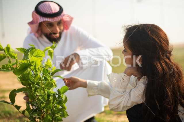 تقدم وتطور القطاع الزراعي , رجل عربي سعودي خليجي مع ابنته في حقل زراعي , الاعشاب والنباتات الخضراء , أراضي ومحاصيل زراعية في المملكة العربية السعودية , تعليم الابناء والتنمية الفكرية ,  خلفية الطبيعة الخضراء . 