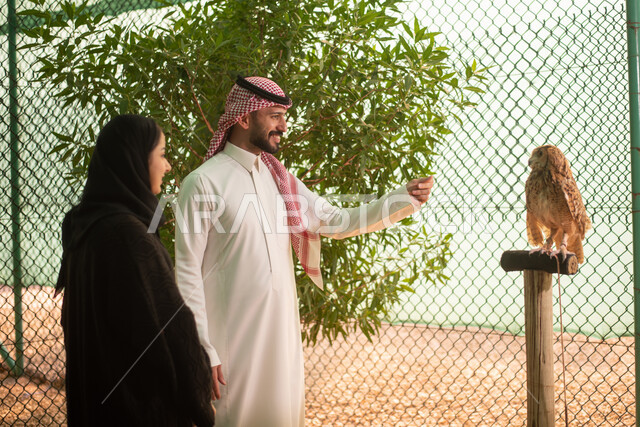 Recreational activities with birds, breeding and training of birds of prey in the nature reserve, a Saudi Arabian Gulf couple in the zoo in Saudi Arabia, recreational tourist places, the owl bird