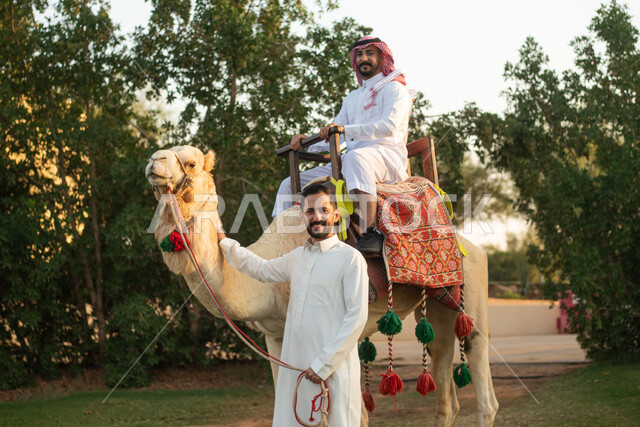 النظر إلى الكاميرا ، قضاء أوقات ممتعة وأنشطة ترفيهية ،  انشطه ترفيهيه ممتعه مع الحيوانات، فعاليات ركوب الجمال، صديقان عربيان سعوديان خليجيان في احدى الحدائق العامه ، فعالية سفاري موسم الرياض