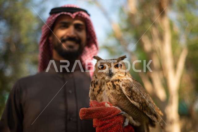A close-up of an owl bird in the hands of a Saudi Arabian Gulf man, spending fun times in the zoo in the Kingdom of Saudi Arabia, recreational tourist places, recreational activities with birds, breeding and training birds of prey in the natural reserve, 