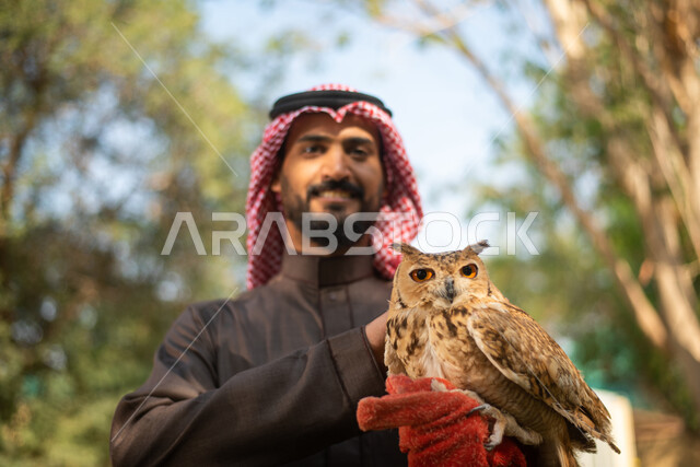 A close-up of an owl bird in the hands of a Saudi Arabian Gulf man, spending fun times in the zoo in the Kingdom of Saudi Arabia, recreational tourist places, recreational activities with birds, breeding and training birds of prey in the natural reserve, 