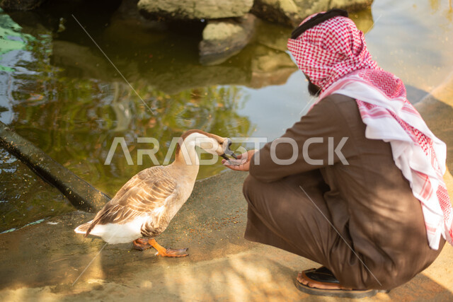 صورة من الخلف لرجل عربي خليجي سعودي  يقضي أوقات ممتعة في حديقة الحيوانات في المملكة العربية السعودية، أماكن سياحية ترفيهية بالسعودية، حيوانات برية في المحمية الطبيعية,  فعاليات ترفيهية عائلية