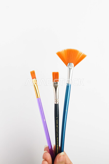 يد تقوم بالامساك بفرش الرسم، مجموعة من فرش الرسم باشكال محتلفة، فرش التولين المختلفة، خلفية بيضاء