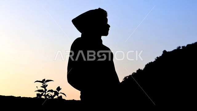 صورة ظلية لشاب في المناطق الطبيعية وقت غروب الشمس، نبتة برية صغيرة، التلال والمرتفعات الجبلية، مناظر طبيعية، خلفية الطبيعة