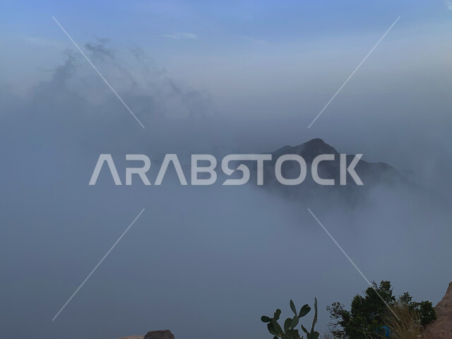 جبال ابها المغطى بالغيوم والسحب في عسير بالمملكة العربية السعودية، القمم والمرتفعات الجبلية، الاشجار والنباتات الخضراء، الطبيعة الجبلية في ابها، خلفية الطبيعة