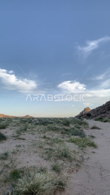 الشجيرات الخضراء في الصحراء، القمم والمرتفعات الجبلية، جبال نجد بالمناطق الصحراوية في المملكة العربية السعودية، مناظر طبيعية صحراوية، خلفية الطبيعة