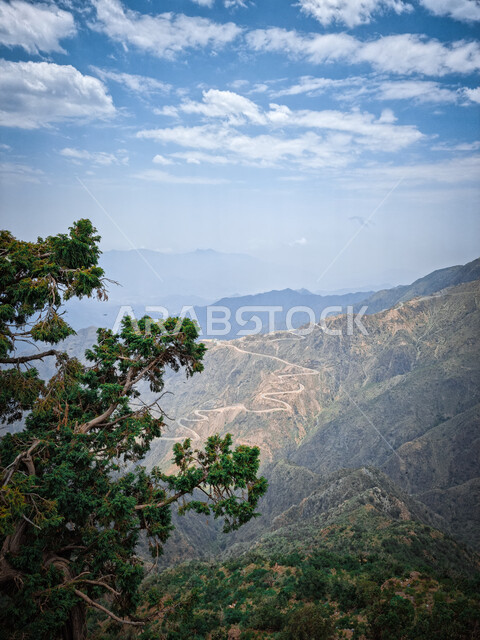 القمم والمرتفعات الجبلية في ابها في عسير في المملكة العربية السعودية، الاشجار والنباتات الخضراء,  الطبيعة الجبلية في ابها، السماء الملبدة بالغيوم, خلفية الطبيعة