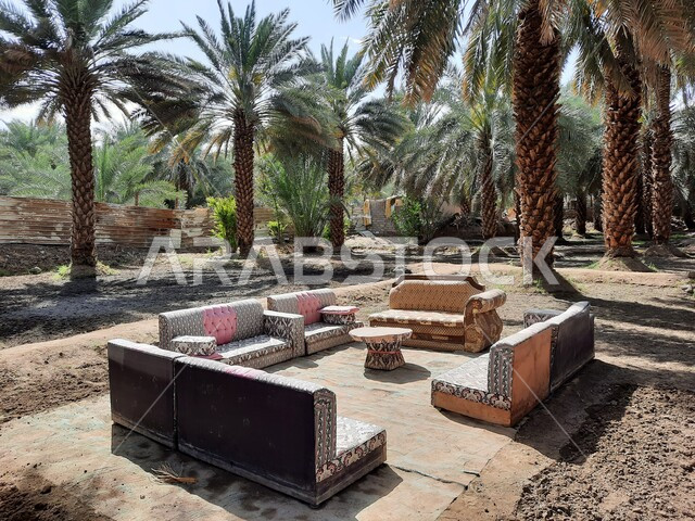   زراعة اشجار النخيل وحصاد التمور، جلسه شعبيه قديمه في مزرعة النخيل في المدينه المنوره، بيوت شعبيه صغيره و بسيطه داخل حقل النخيل في المملكه العربيه السعوديه،  اثاث منزلي قديم ، خلفية الطبيعه