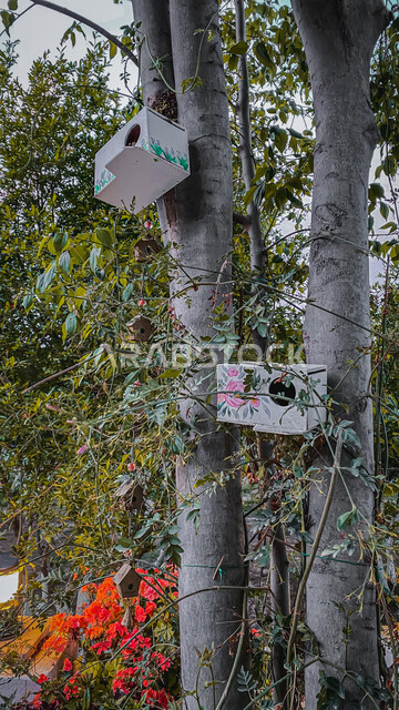 صورة مقربة لمجسم خشبي لبيت الطيور والعصافير معلق على جذع الشجرة، الاشجار والنباتات الخضراء، الحدائق والبساتين العامة، محمية طبيعية، خلفية الطبيعة