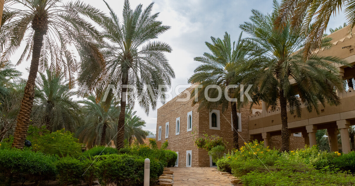 Cultivation of palm trees in the Saudi National Museum in the city of ...