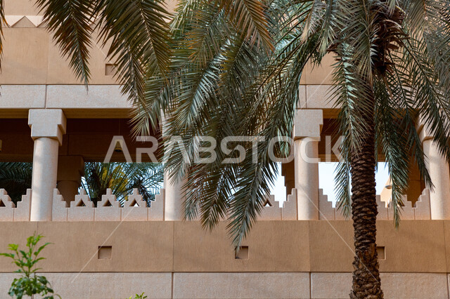 صورة مقربة لأشجار النخيل في المتحف الوطني السعودي في مدينة الرياض , مركز الملك عبد العزيز في المملكة العربية السعودية, معالم تاريخية وطنية , اماكن سياحية ثقافية, الفن الهندسي المعماري على الطراز الشعبي التاريخي القديم