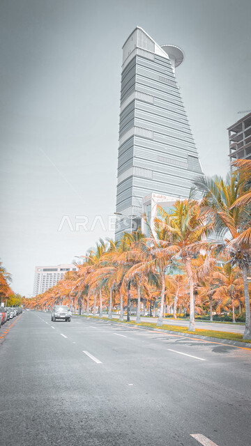برج الكورنيش في جدة بالمملكة العربية السعودية، اشجار النخيل الخضراء، الفن الهندسي المعماري، الابراج وناطحات السحاب، شوارع وطرق جدة، معالم جدة المشهورة، السياحة في السعودية